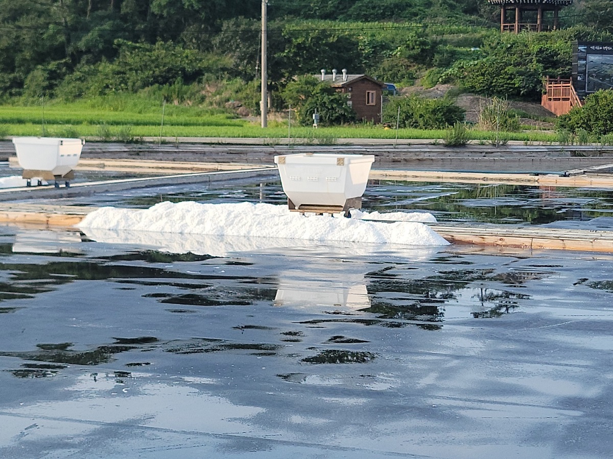 생산된 천일염을 이동수레에 담기 위해 모아논 모습
