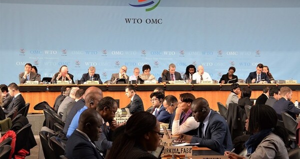 2022년 6월 WTO회의